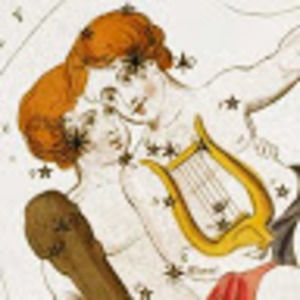 Meet your Posher, Ari